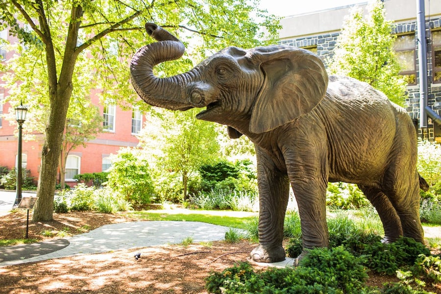 I attended Tufts graduation last Sunday in the new normal...
